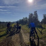 Rome: Orvieto and Civita di Bagnoregio Day Trip by Train - Price, Value, and Practical Tips