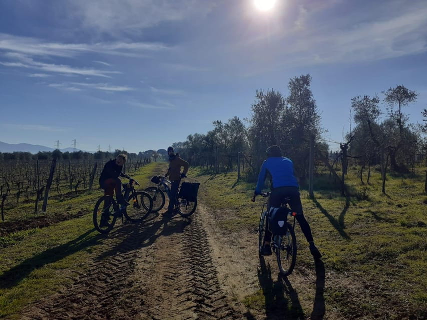 Rome: Orvieto and Civita di Bagnoregio Day Trip by Train - Price, Value, and Practical Tips