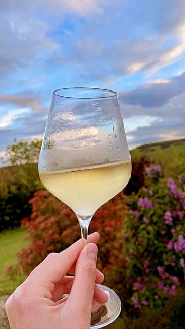 Route du Champagne: Food and wine tour - Exploring the Heart of Champagne: The Itinerary Breakdown