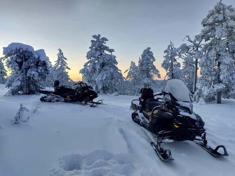 Rovaniemi: Backwoods Adventure Full Day Snowmobile Safari - The Joy of Solo Snowmobile Driving