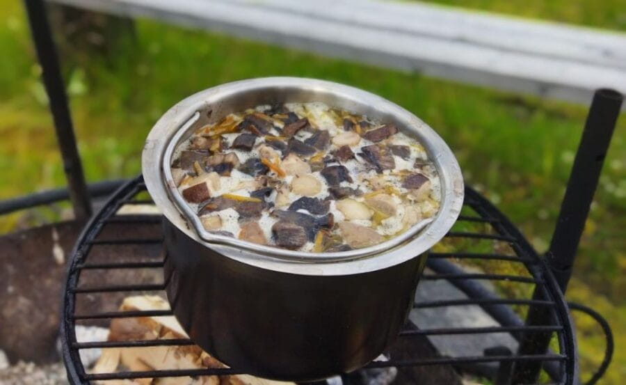 Rovaniemi forest foraging adventure: Pick, Prepare, Savor - Picking Wild Berries and Mushrooms in Lapland