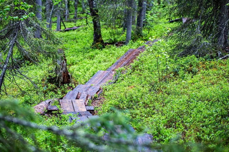 Rovaniemi: Korouoma Canyon and Auttiköngäs Falls Tour - Discovering Auttiköngäs Falls and the Ancient Forests