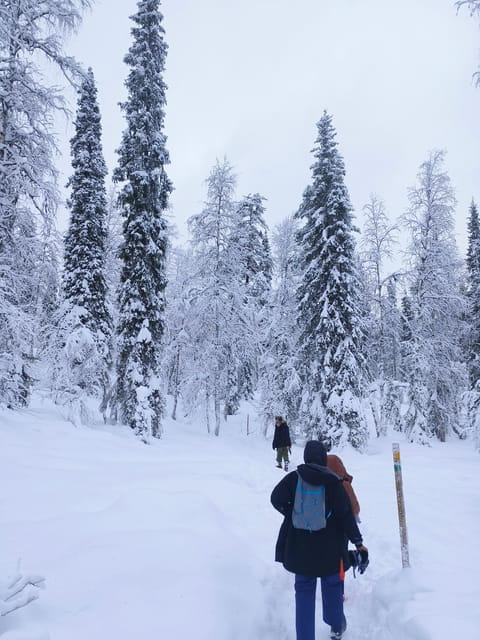 Rovaniemi: Korouoma Canyon Frozen Waterfalls Guided Hike - Who Will Love This Tour?