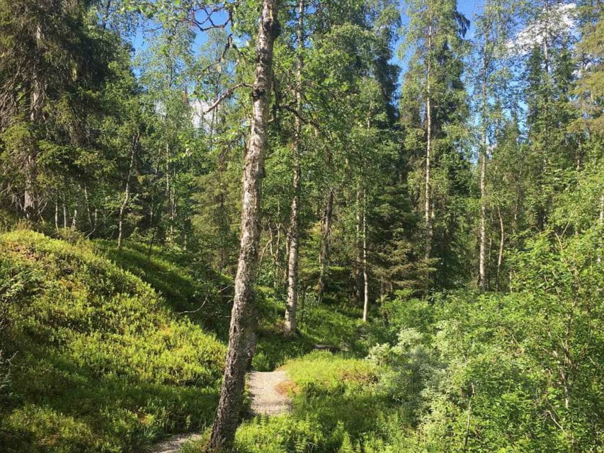 Rovaniemi: Korouoma Canyon & Waterfalls Tour with BBQ - The Sum Up: Who Is This Tour Best For?
