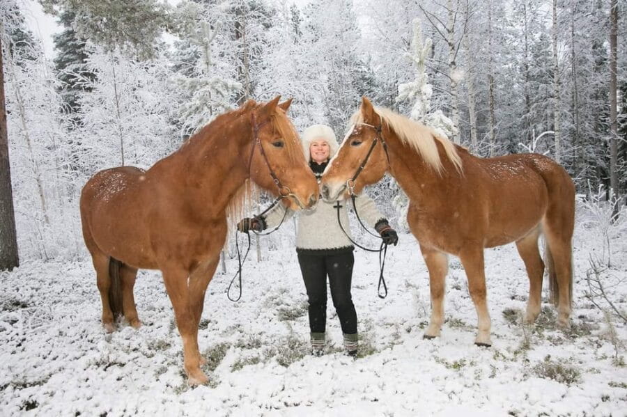 Rovaniemi: Riding Tour with Finnhorses at SCV - Final Thoughts: The Authentic Lapland Horseback Experience
