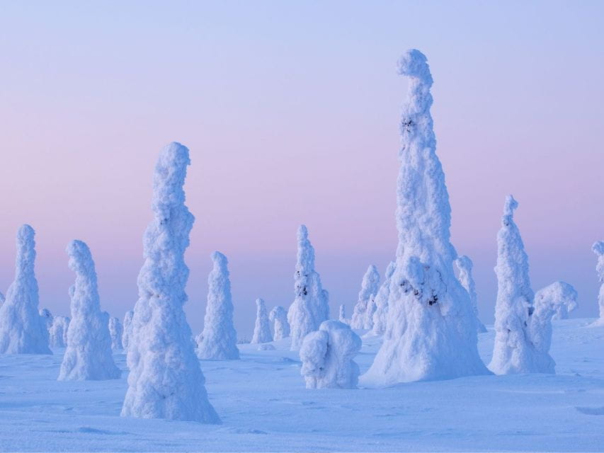 Rovaniemi: Riisitunturi Full-Day Wilderness Adventure & BBQ - The Trails and Vantage Points