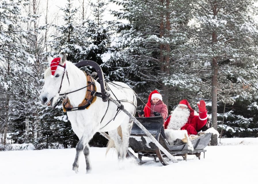 Rovaniemi: Traditional Finnhorse Sleigh Ride at SCV (3km) - Practical Details: What Travelers Need to Know