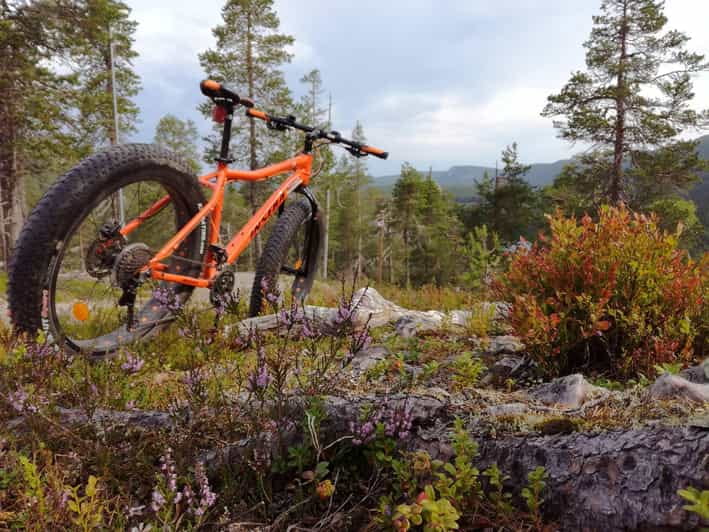 Ruka : Into the forest with fatbikes - The Experience in Detail: What Makes It Special
