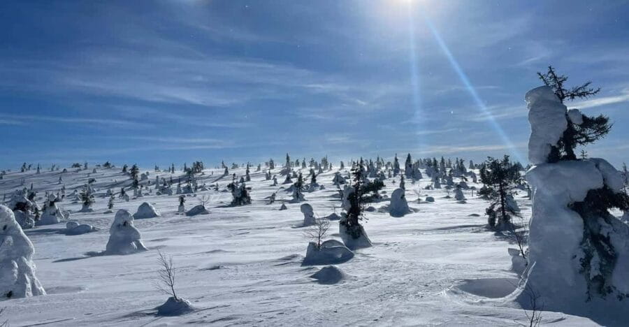 Ruka: Riisitunturi National Park with lunch. - Entering the Heart of Lapland: The Riisitunturi Experience