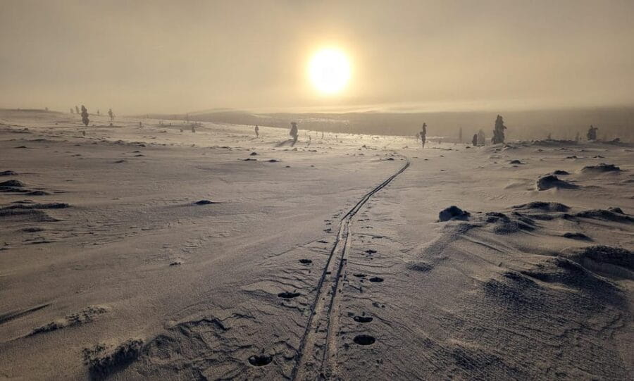 Saariselkä: Back-Country Skiing Guided Tour - Who Will Love This Experience?
