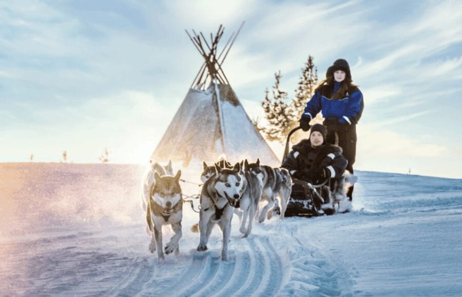 Saariselkä: Husky Safari with Aurora Borealis Hunt - The Aurora Hunt: A Nighttime Spectacle