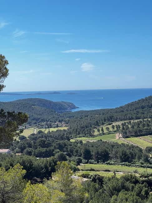 Saint-Cyr-sur-mer: guided hike to the Sand Dune - The Itinerary: From Port to Peak