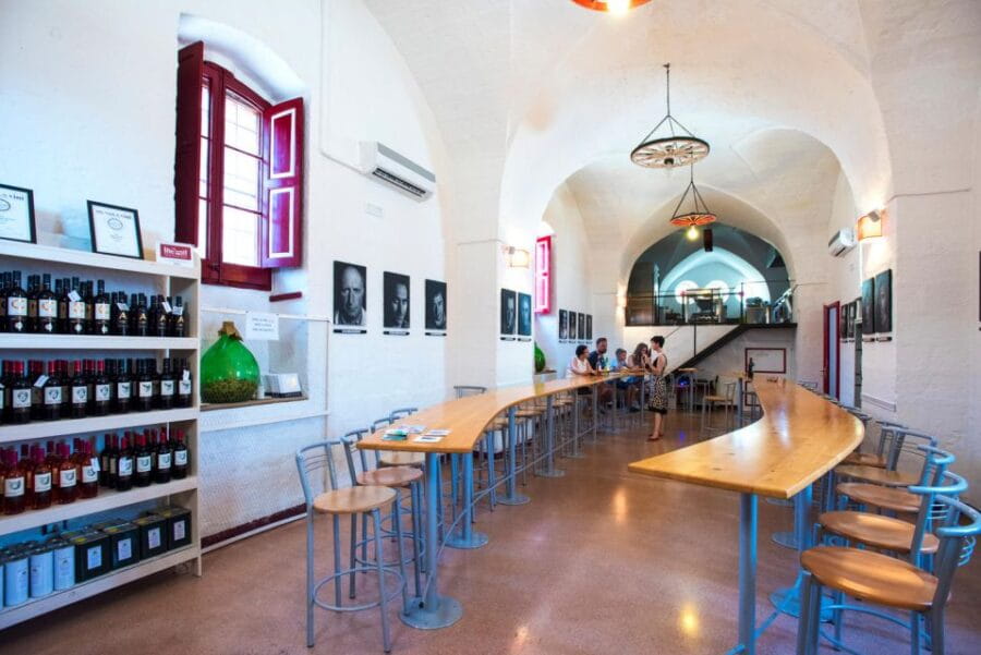 Salento: Winery Tour and Tasting - Tasting the Fruits of the Vineyard