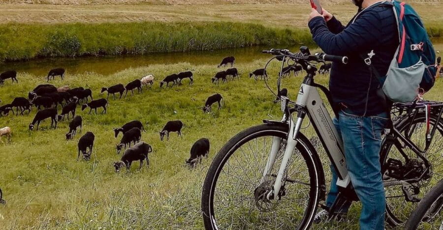 San Gimignano: Bike tour in the Tuscan Hills - Entering Tuscany’s Historic Heart: Certaldo and San Gimignano