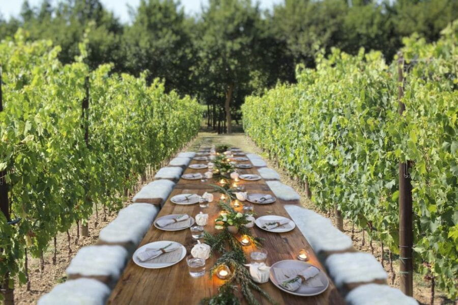 San Gimignano: Romantic Vineyard Dinner - What to Expect During the 2 Hours