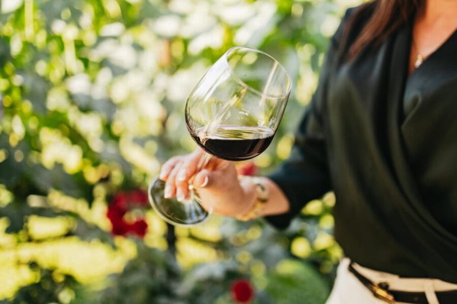 San Gimignano: Tuscan Vineyard Lunch with Wine Tasting - Entering the Heart of Tuscany with a Vineyard Lunch