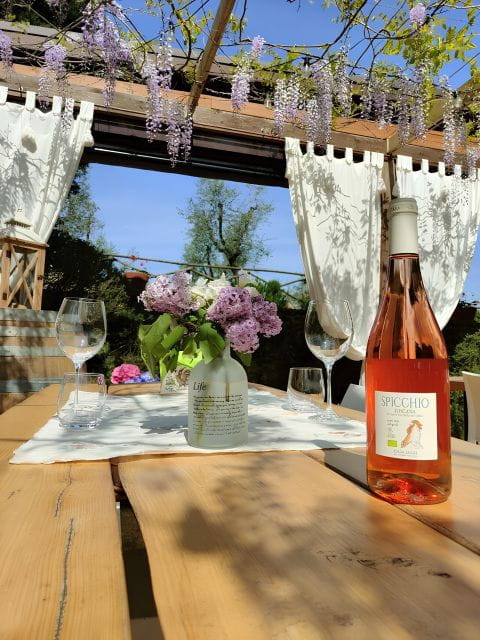 San Gimignano: Wine Tasting with Food Pairing - The Practical Details: What You Need to Know