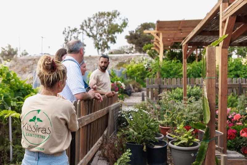 Santorini Sightseeing: Private Tour with Farm Lunch - Lunch in Pyrgos: A True Taste of Santorini