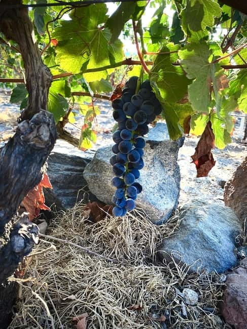 Santorini Wine & History Tour with 3 Expert Sommeliers - The Experience in Perspective: What You Get and What It Means