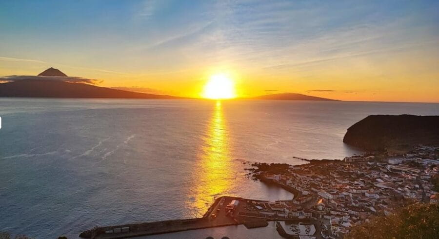 São Jorge: Island, Forest Reserve & Fajãs Guided Tour - Lunch and Local Experiences