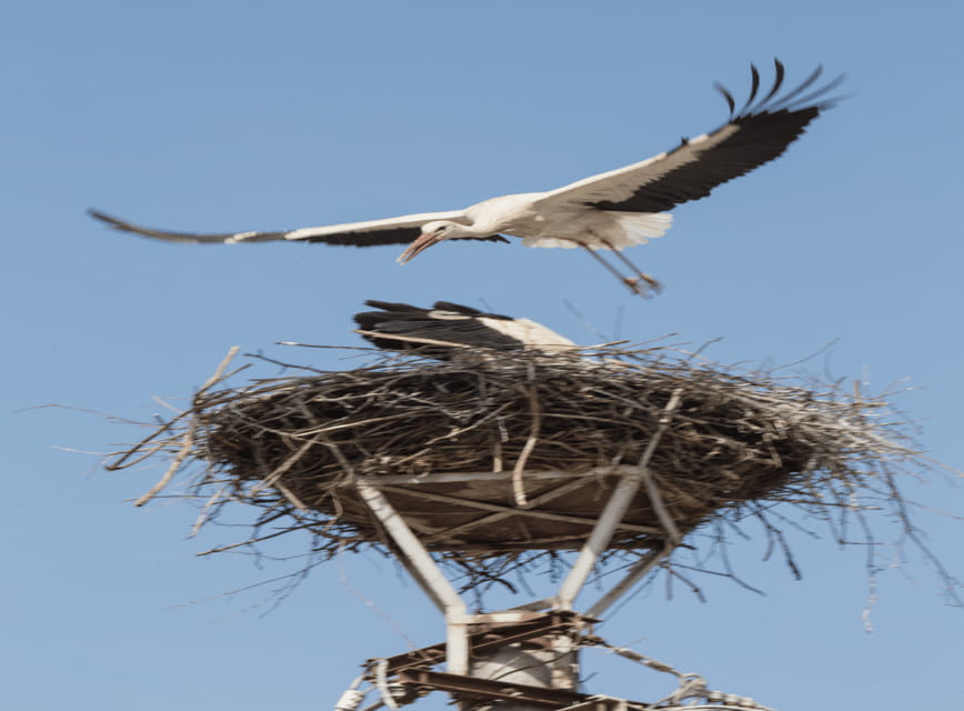 SB02 - Surroundings of Sibiu:Saxon Heritage &Scenic Villages - Final Thoughts