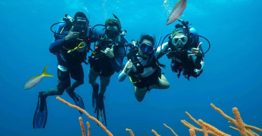 Scuba Diving Experience for Beginners In Greece - Exploring the Greece Scuba Experience: What You Need to Know