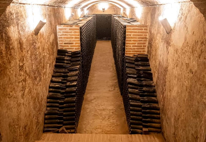 Secrets of Dorado Wine - Who Will Love This Tour?