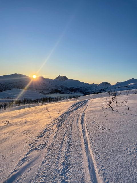 Senja Island: Winter Light Package Deal, 1 Day and 1 Night - The Value of the Experience: What’s Included and What’s Not