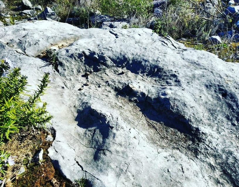 Serras de Aire e Candeeiros: Nature & Geology Exploration - Who Should Consider This Tour?