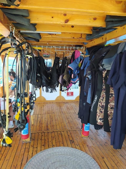 Side: Scuba Diving & Under Water Museum with Hotel Transfer - Who Should Consider This Tour?