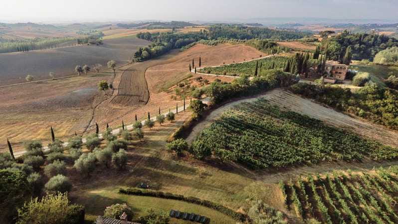Siena: Winery tour/tasting with owner/maker of awarded wines - Who Should Consider This Tour?