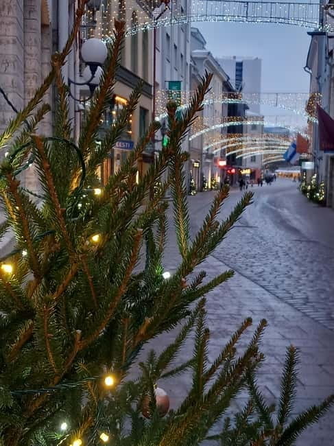 Sightseeing tour "Around Tallinn in 3 hours" - The Value of This Tour