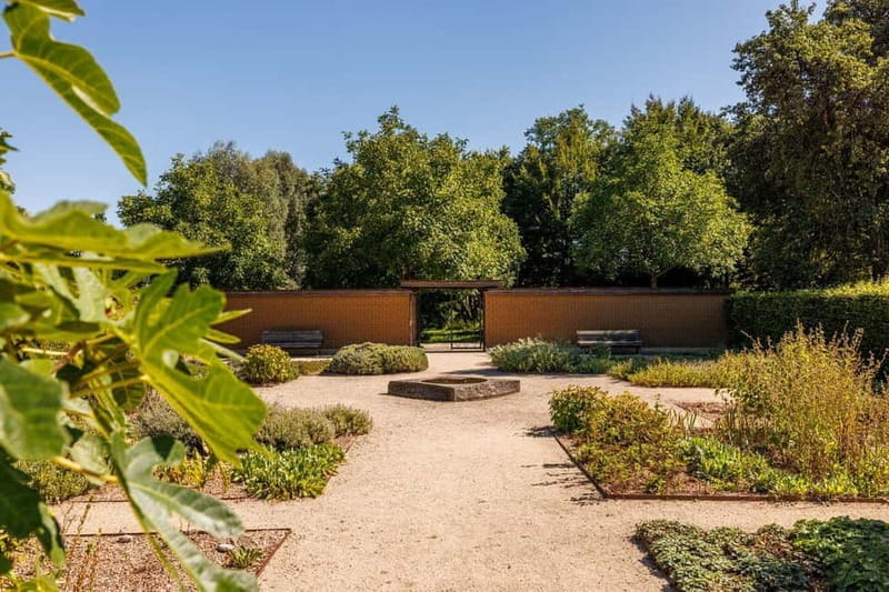 Singing: Guided herb tour "Wild herbs on the banks of the Aa" - Discovering the Details of This Unique Herb Walk