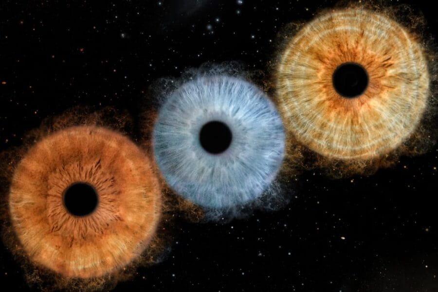 Siracusa Iris Photography Experience - Who This Experience Is Perfect For