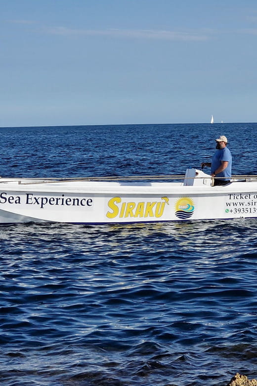 Siracusa: PRIVATE boat excursion 2,5h - Price and Value: Is It Worth It?