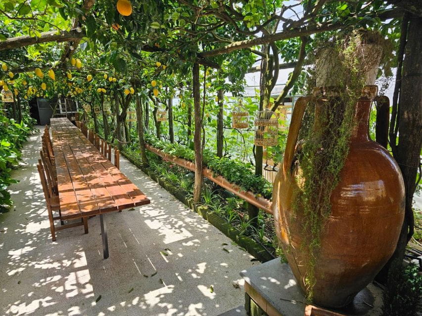 Sorrento Coast E-Bike Tour and Visit at Vinegar Cellar - The Farmhouse and Vinegar Cellar: A Family Tradition