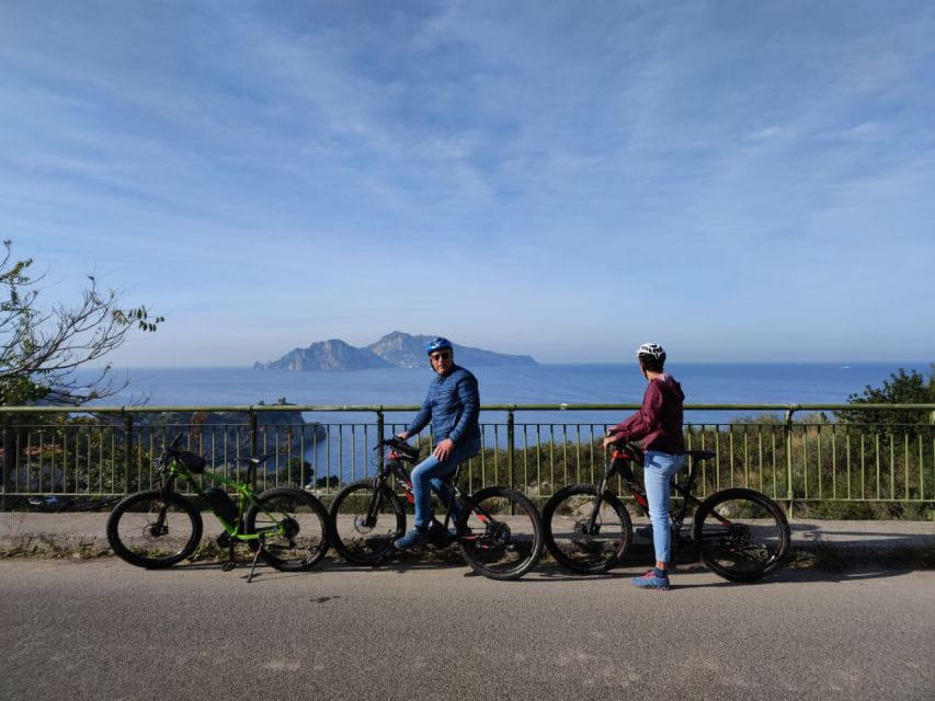 Sorrento: Coast E-Bike Tour with Limoncello Tasting - Visiting the Lemon Farm and Learning about Limoncello