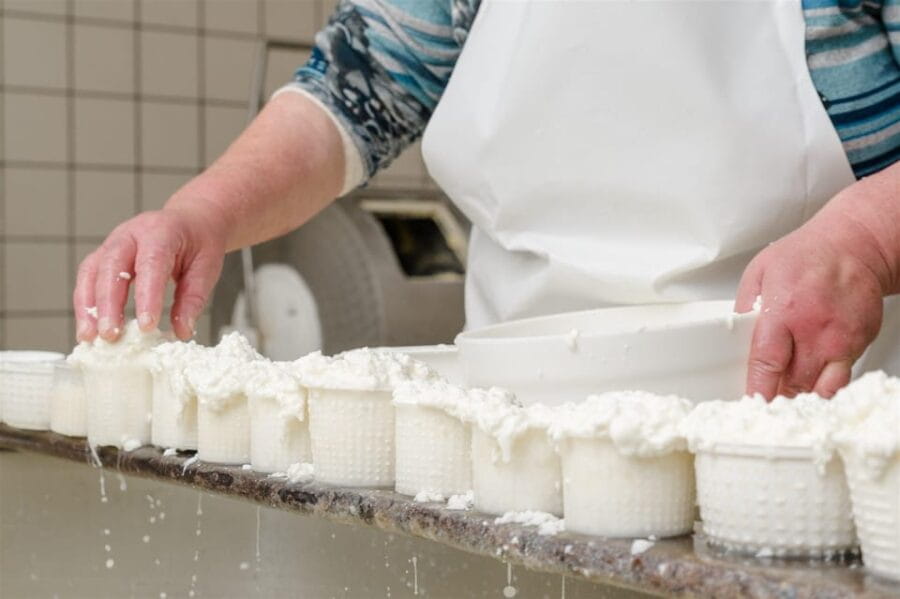 Sorrento: mozzarella cheese workshop in Vico Equense - An In-Depth Look at the Cheese Workshop Experience