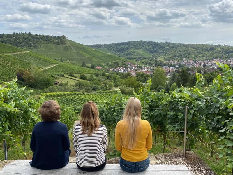 Stuttgart: After work wine walk with tasting - Price, Logistics, and Overall Value