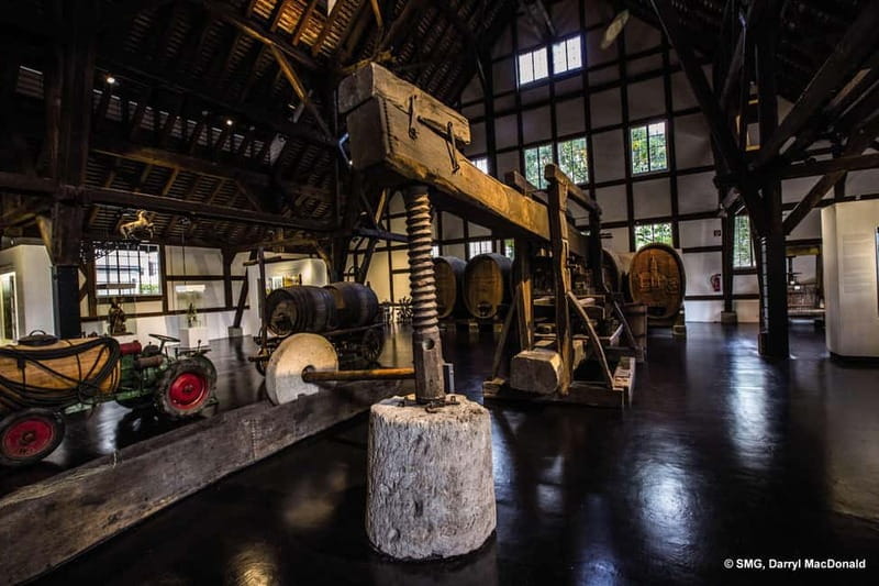 Stuttgart: Taster tour of the Wine Museum incl. 0.1 l wine - What to Expect from the Tour: A Step-by-Step Breakdown