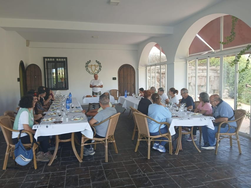 Subbética: cheese and wine pairing at Los Balanchares - Who Should Consider This Experience?