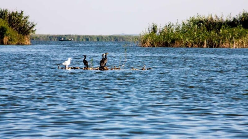 Sulina: Mila 23 Village Boat Trip in the Danube Delta - Who This Tour Is Perfect For