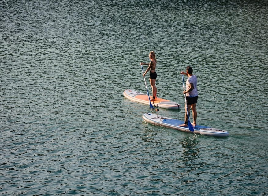 SUP Safari - Catamaran Cruise Dia Island & Gourmet Delights! - Who Should Book This?