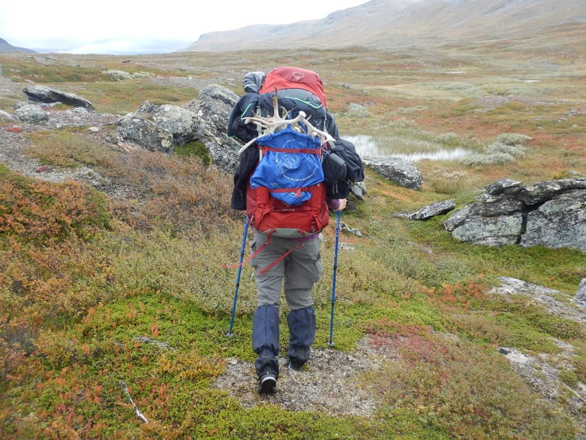 Swedish Lapland: A trekking week with helicopterflight - Practicalities: Planning Your Arctic Adventure