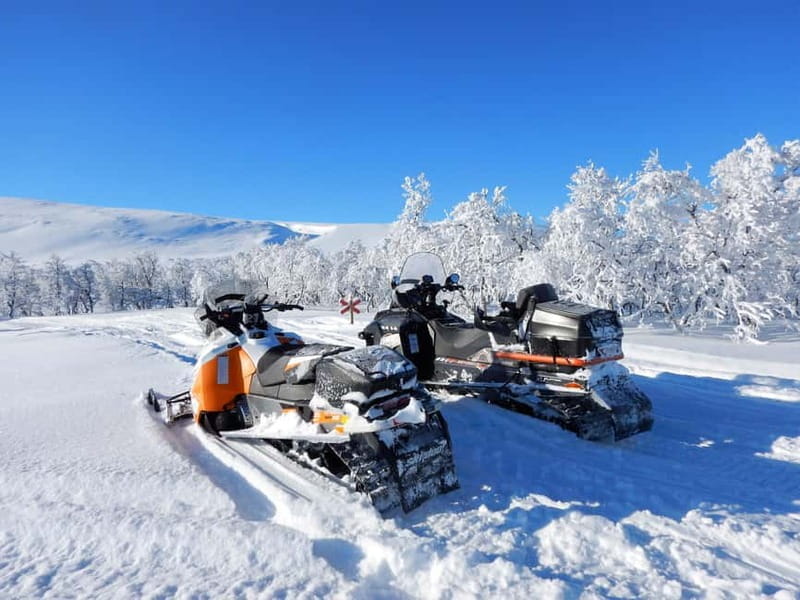 Swedish Lapland: Snowmobile safari - Entering the Arctic Wilderness: What the Journey Looks Like