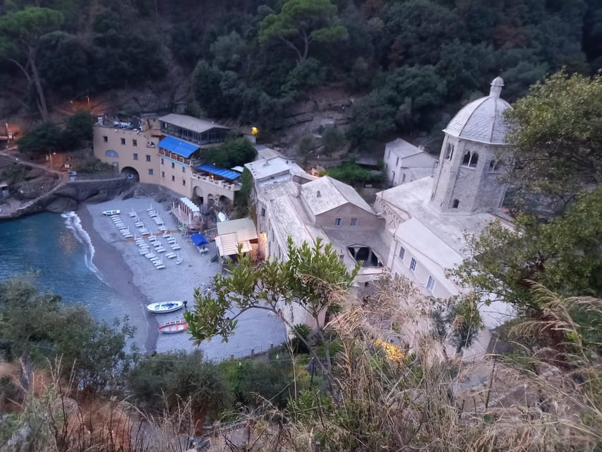 Swimming Cetacea Private Tour Boat Genova Portofino - Who Should Consider This Tour?