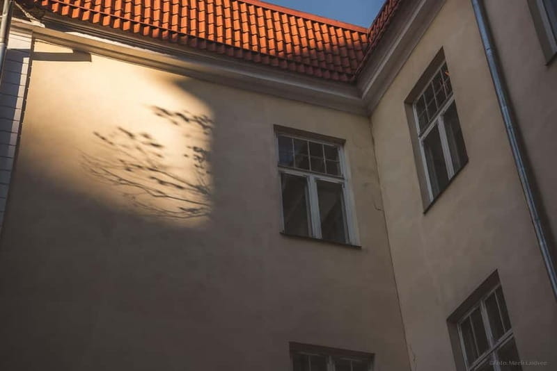 Tallinn: Old Town Ghost Tour - The Sum Up: Who Is This Tour Perfect For?