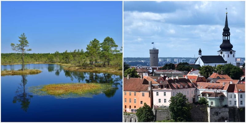 Tallinn: Old Town Tour with Bog Walk - Morning Bog Walk: Nature’s Quiet Canvas