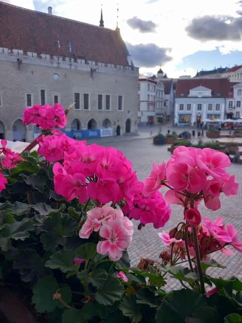 Tallinn Town Hall with a guide - The Detailed Experience of the Tallinn Town Hall Tour