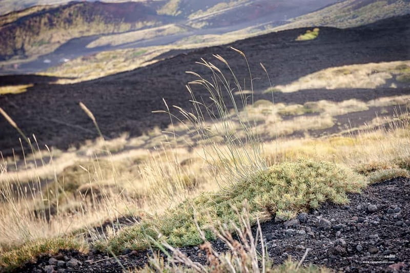 Taormina: Etna off-road 4x4 - Final Thoughts: Is It Worth It?